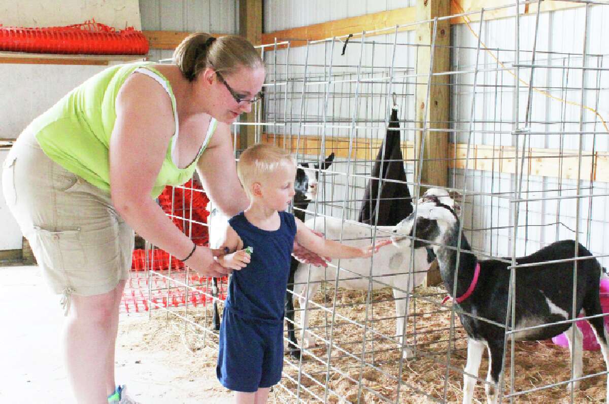 Animal exhibits: (RIGHT) Evart resident Katelyn Hagelgans (left) leads her son Brenton Blake to pet a goat in one of the 4-H barns at the Marion Fair. (Herald Review photo/Karin Armbruster)