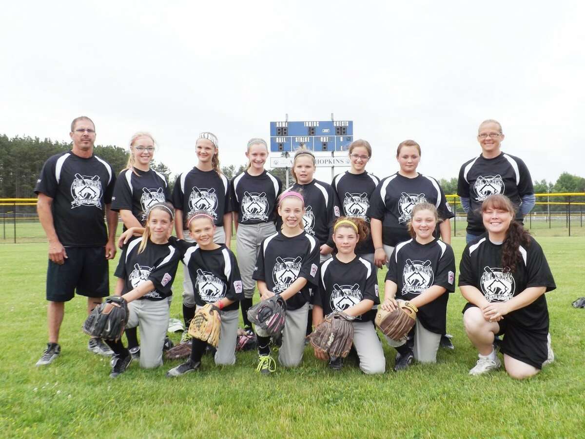 HEADED TO STATE: The Reed City-Evart 11-12-year-old Little League team will represent the district in the state finals at Essexville.