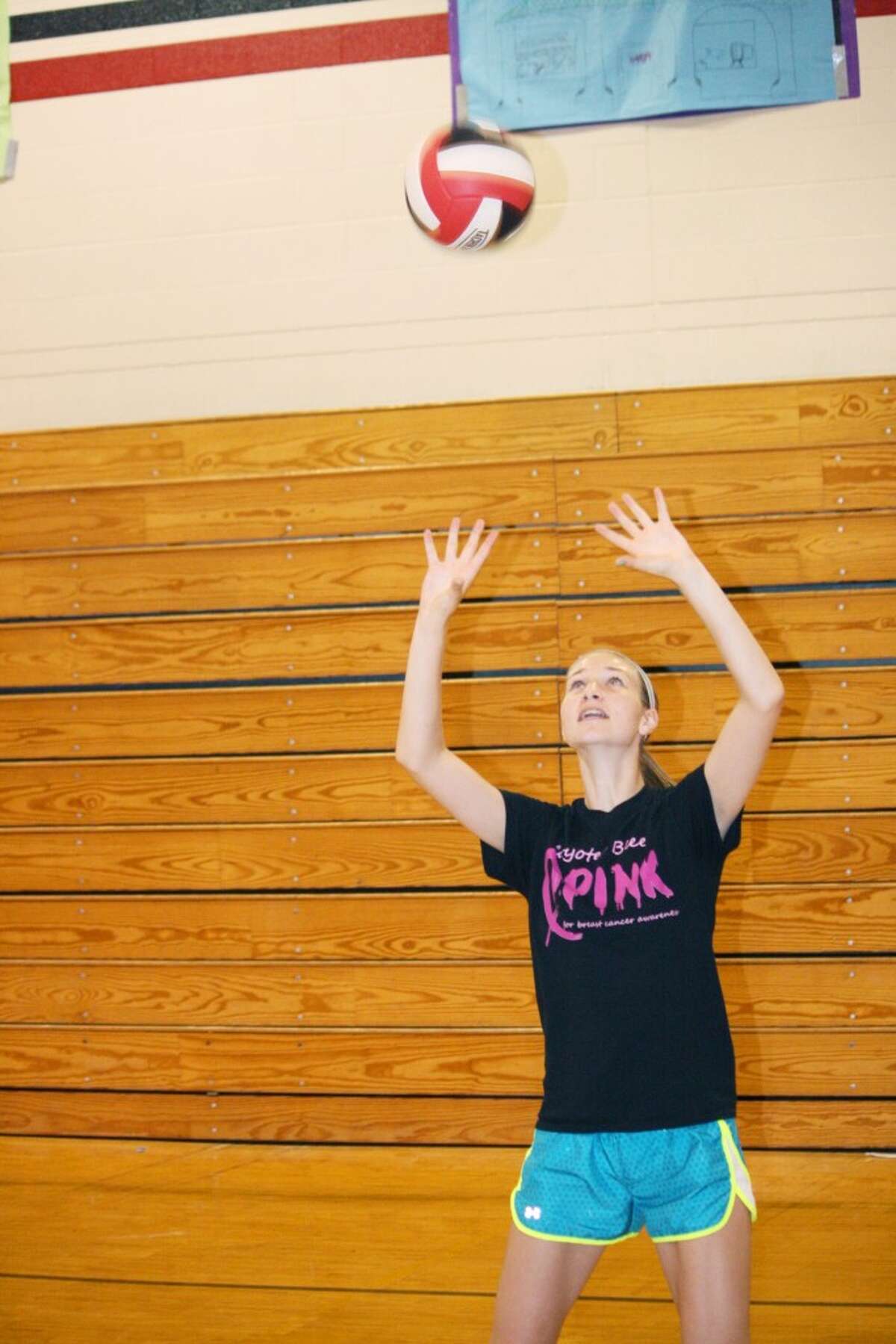 Volleyball: Alison Schermerhorn sets the ball during a Reed City volleyball practice. (Herald Review/John Raffel)