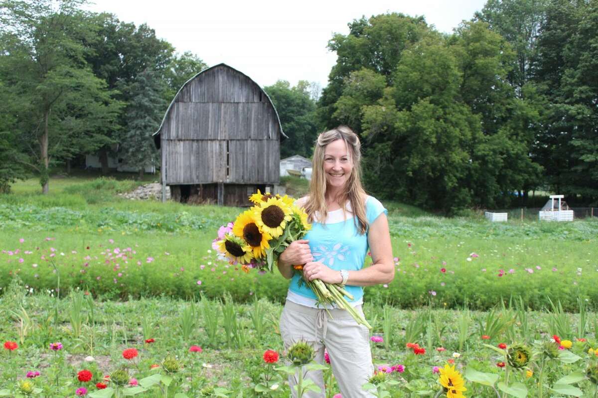 sunflower: Brooke Whipple has opened a U-Pick Flower business located at 23834 Meceola Road, three miles west of Northland Drive. Currently, she is growing sunflowers, bachelor buttons, gladiolas, cosmos, sweet pea and more in her ever-expanding garden, open seven days a week for self-serve picking. In the fall, she plans to offer pumpkins. (Herald Review photo/Karin Armbruster)