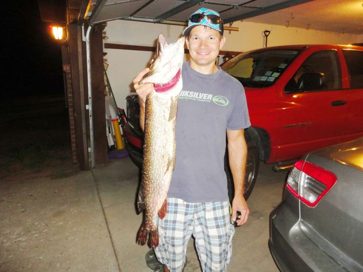 Excellent catch: The monster fish was 39 inches long, 15.5 inches around, 13.6 pounds, brought in at 9:45 pm. (Courtesy photo)