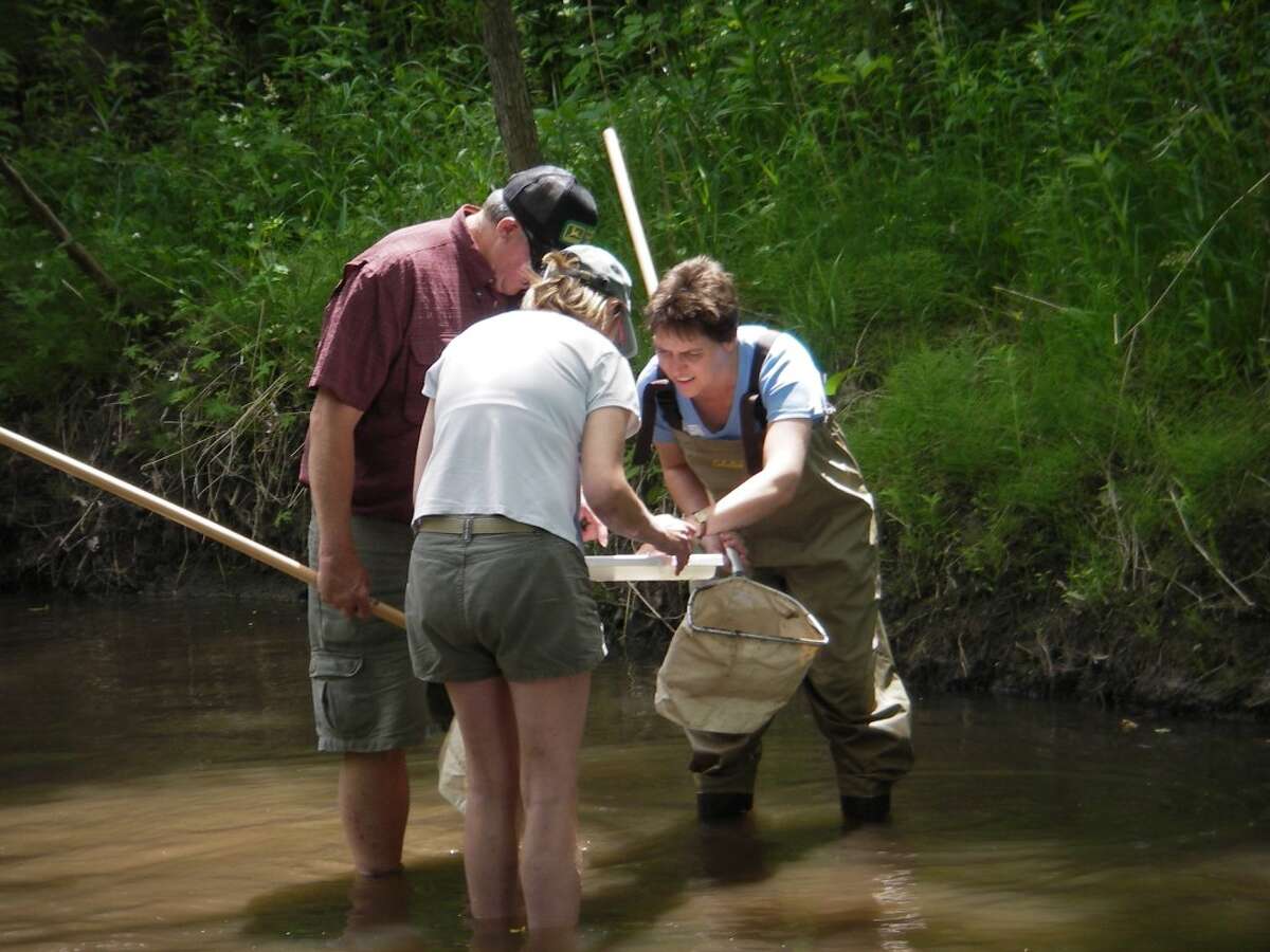 VOLUNTEER RESEARCHERS: Volunteers collect macroinvertebrates during MiCorps water monitoring training. (Courtest photo)