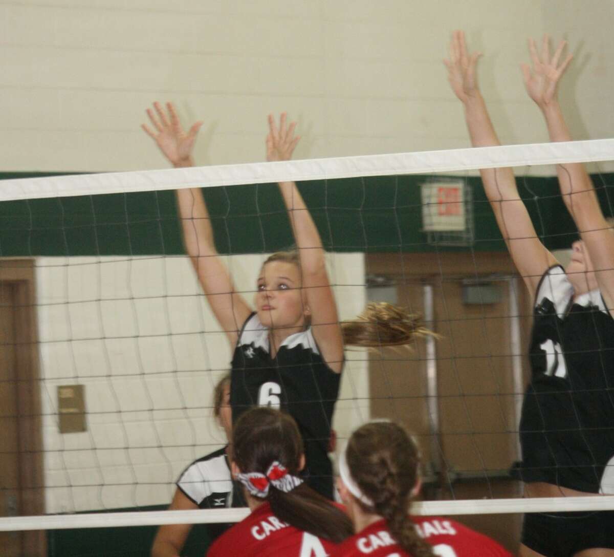 DENIED: Heather Tacey (6) of Reed City goes up for a block in recent action. (Herald Review photo/John Raffel)