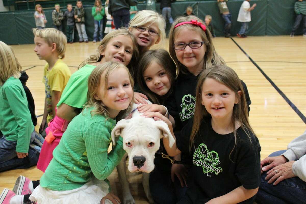 FURRY FRIEND: LeRoy Elementary second-grade students hug Lexie, a white boxer. Lexie serves as a therapy dog in the Riley Mackenzie fund. (Herald Review photo/Sarah Neubecker)