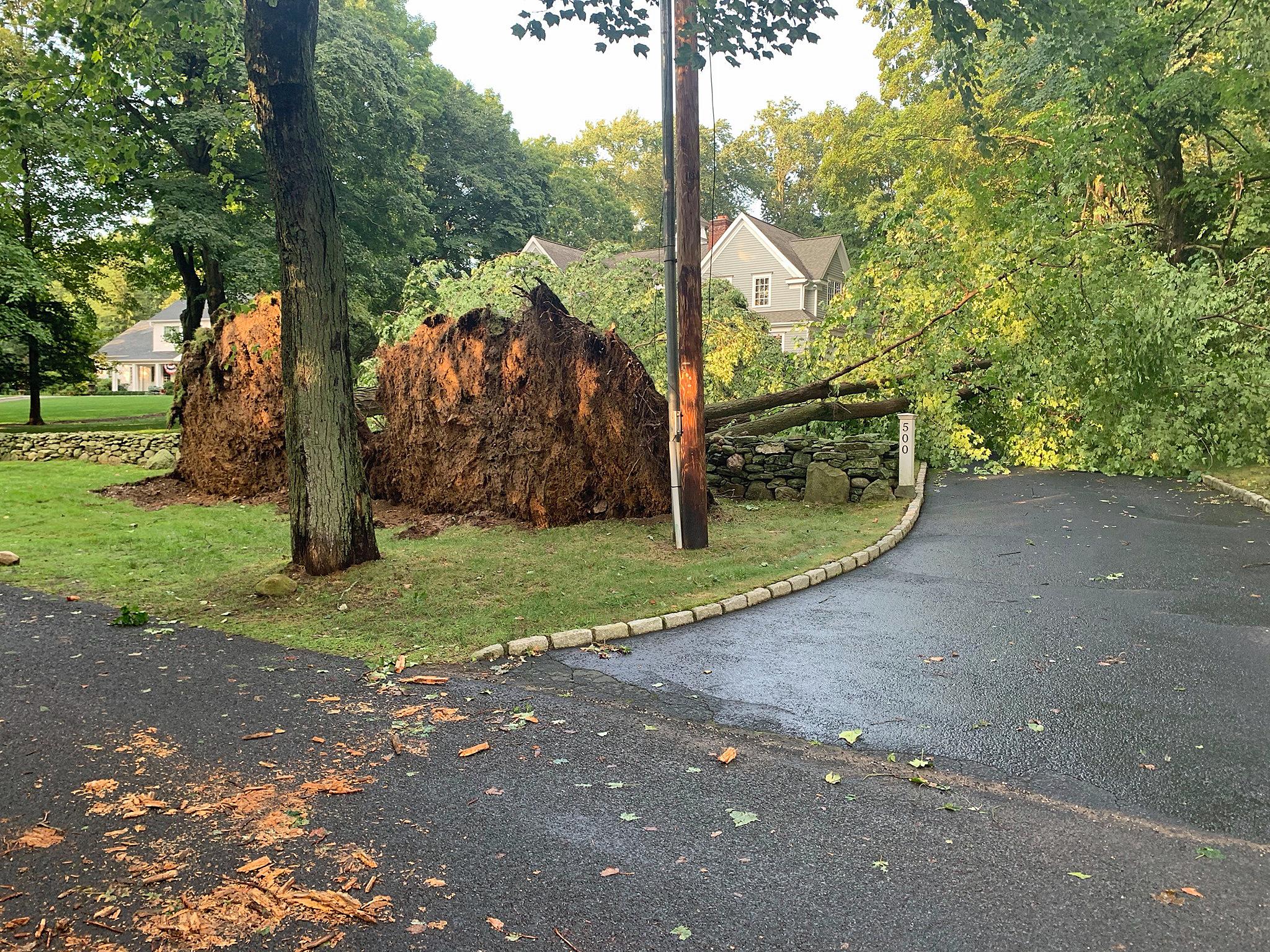 Hundreds still without power after strong T-storms down trees