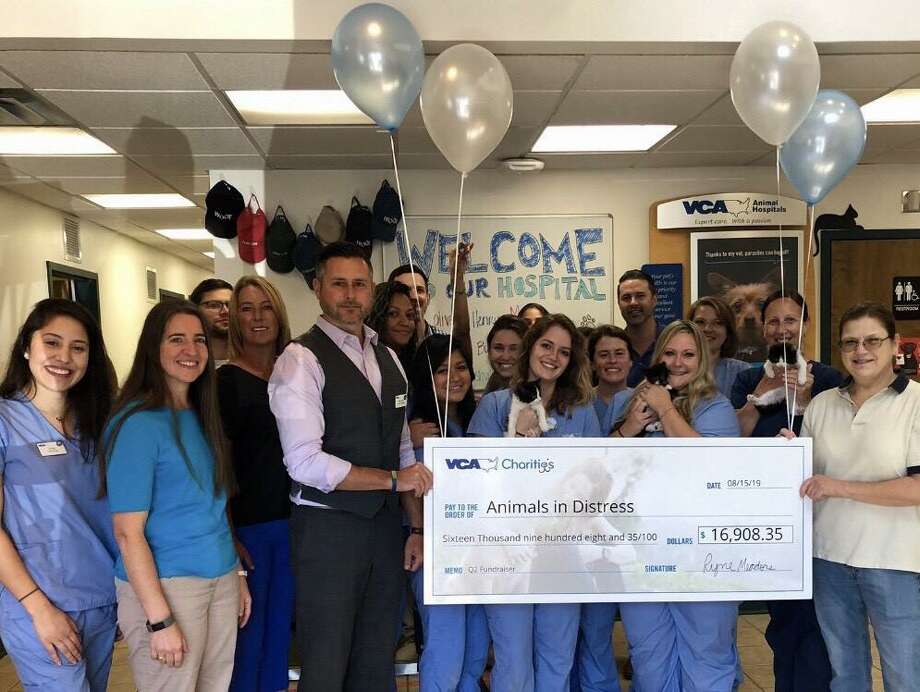 Working At VCA Animal Hospitals: Employee Reviews And Culture - Zippia Working At VCA Animal Hospitals: Employee Reviews And Culture - Zippia