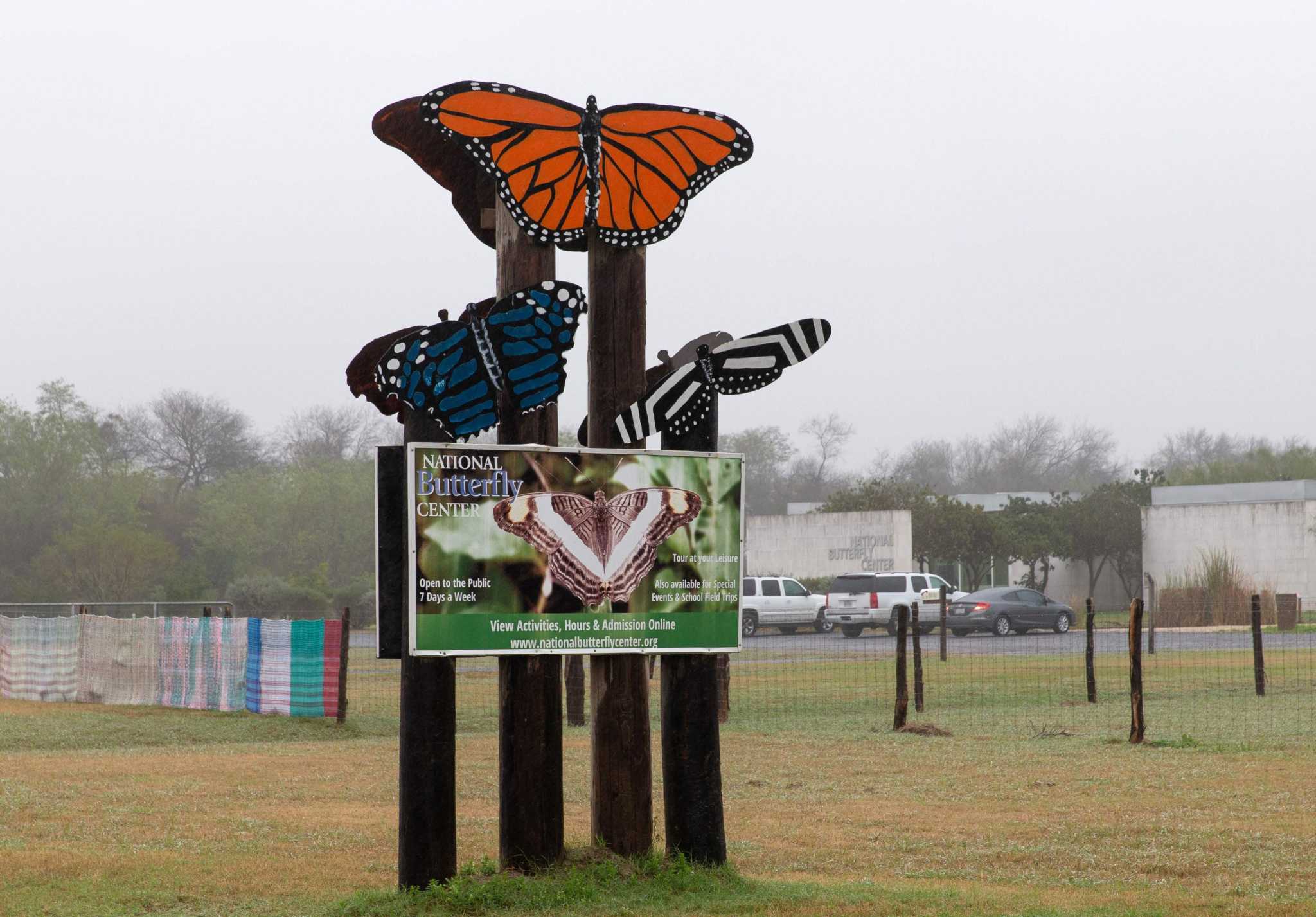 Plight of Texas’ butterflies highlighted in documentary