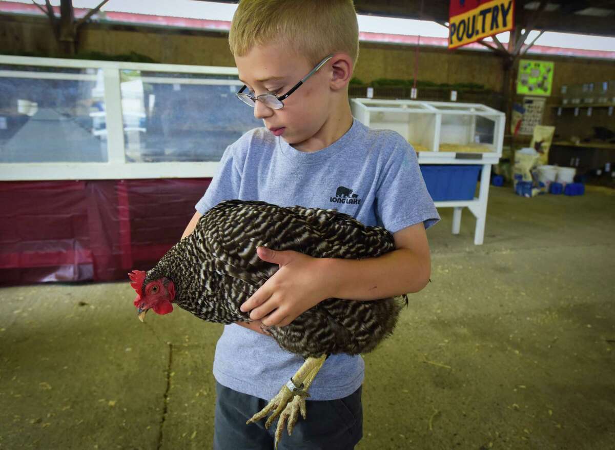 Brayden Perkins, 6, of Greenwich holds his chicken named Handsanitizer, as he prepared to place her into her cage in the poultry barn at the Washington County Fair on Monday, Aug. 20, 2018, in Greenwich, N.Y. Perkins will show the chicken as part of 4-H on Tuesday and then compete in showmanship with the bird on Wednesday. The fair runs through Sunday, Aug. 26th. (Paul Buckowski/Times Union)
