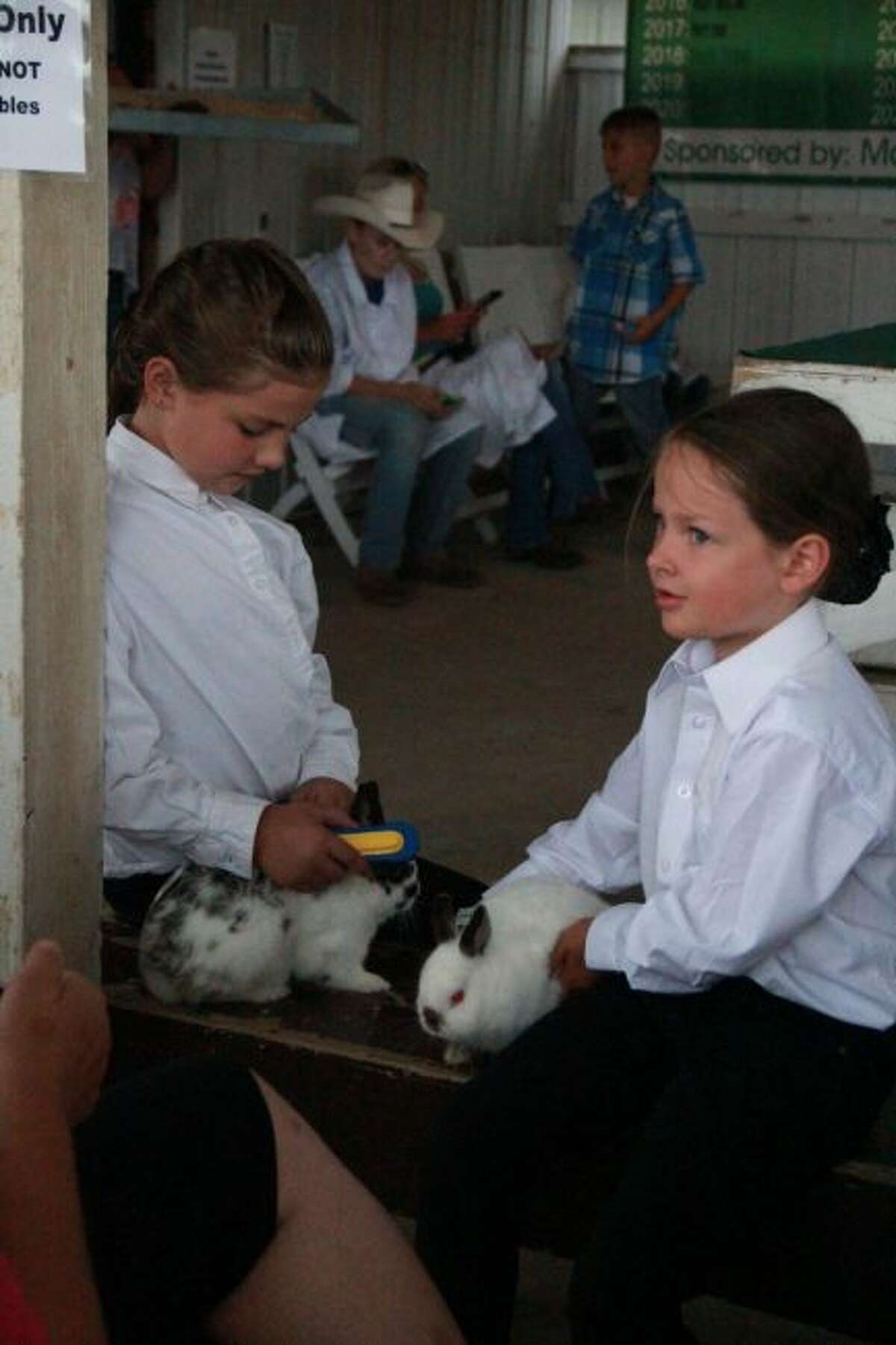 4H kids showcase their rabbits in annual rabbit showmanship event