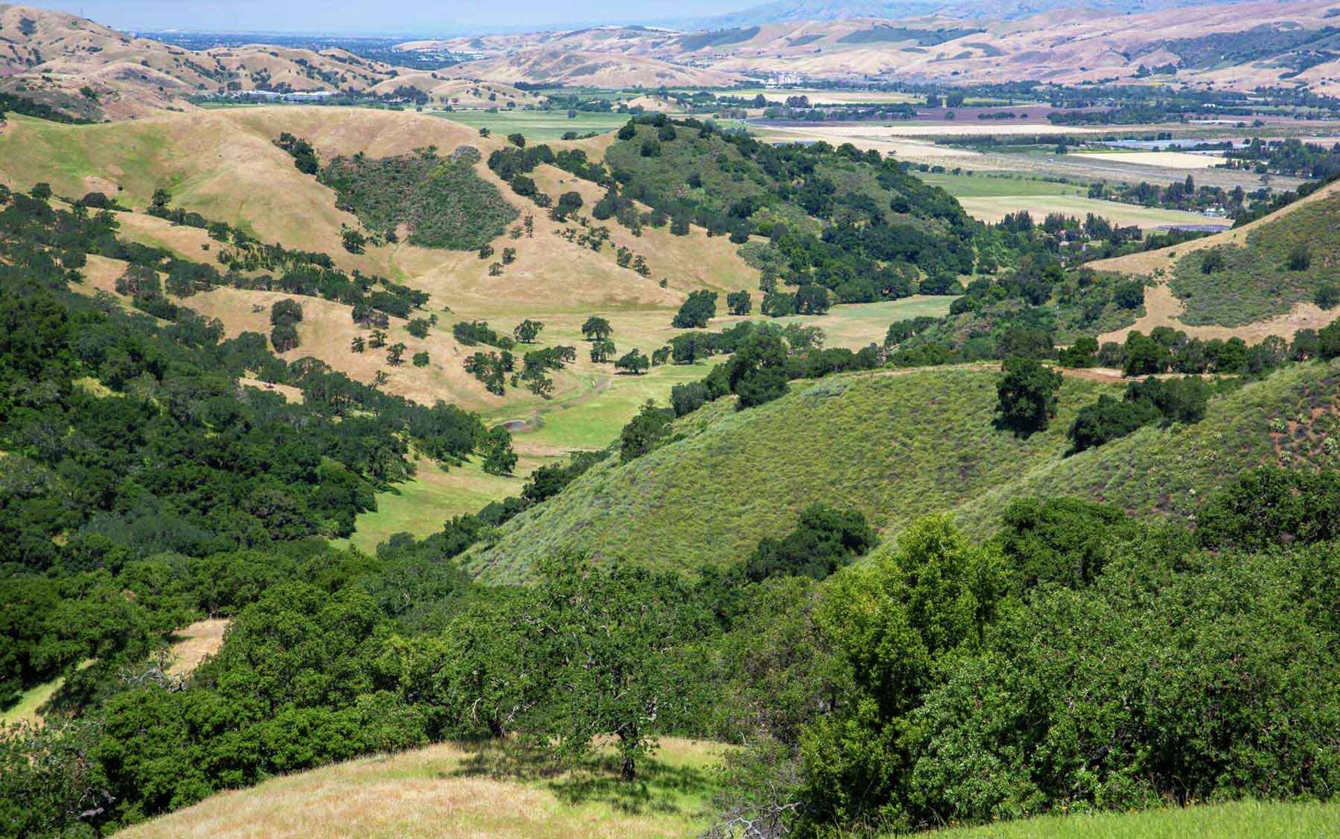 Rare undeveloped slice of Silicon Valley is on the market for $20 million
