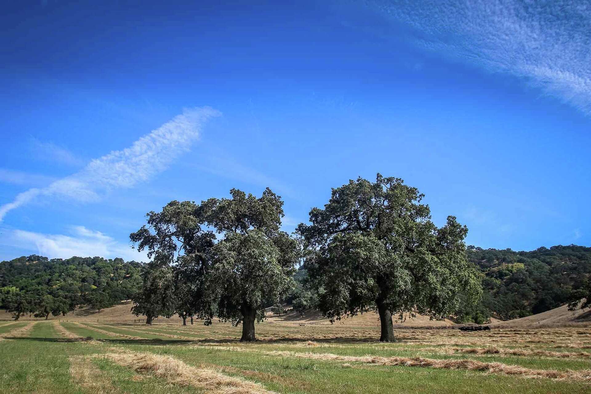 Rare undeveloped slice of Silicon Valley is on the market for $20 million