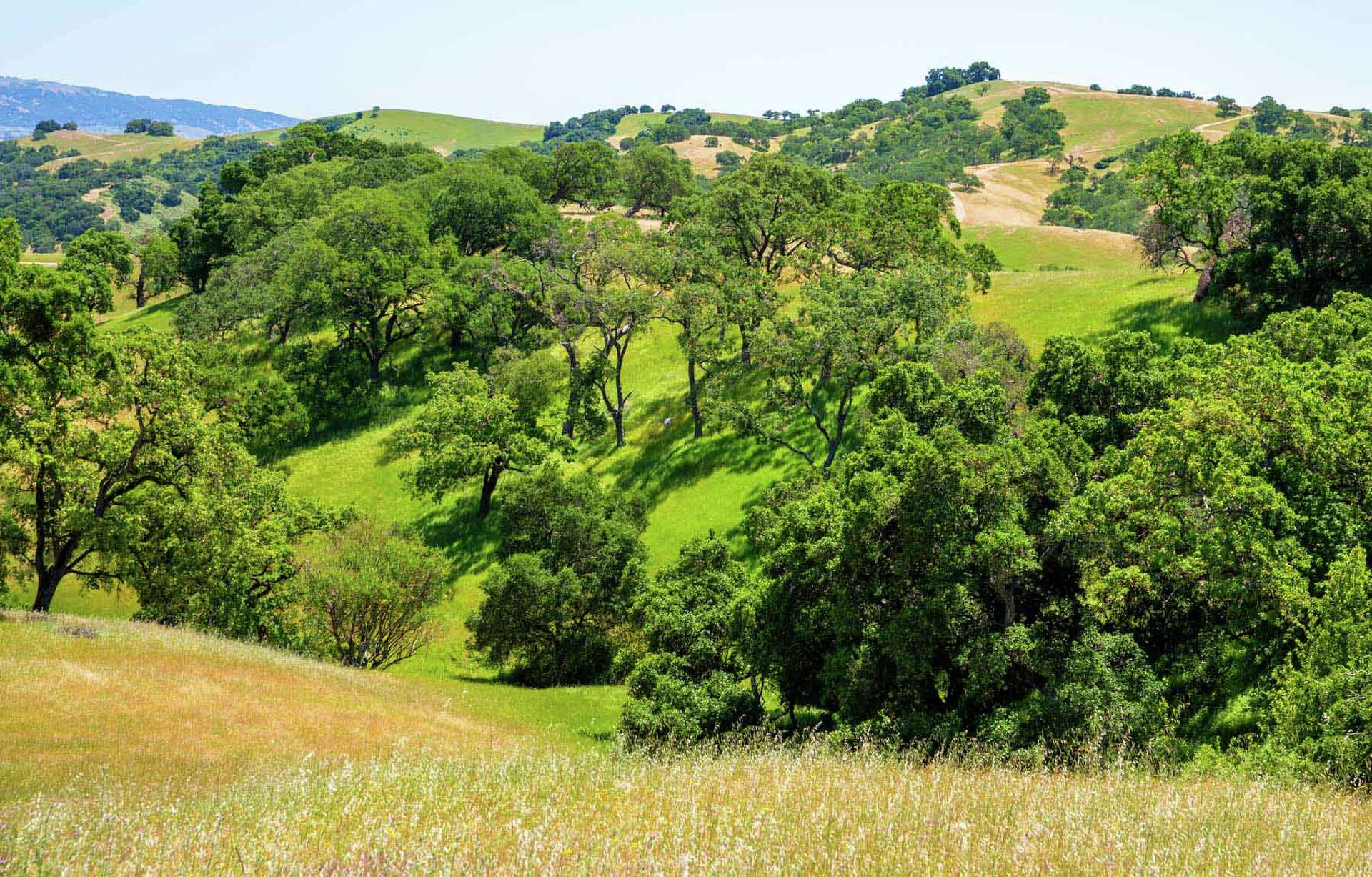 Rare undeveloped slice of Silicon Valley is on the market for $20 million
