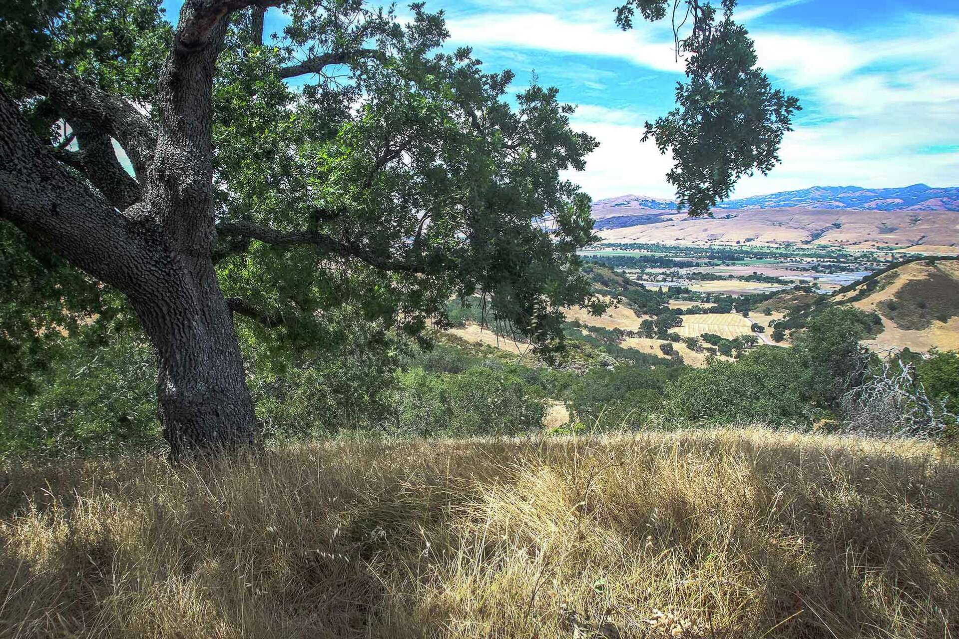 Rare undeveloped slice of Silicon Valley is on the market for $20 million
