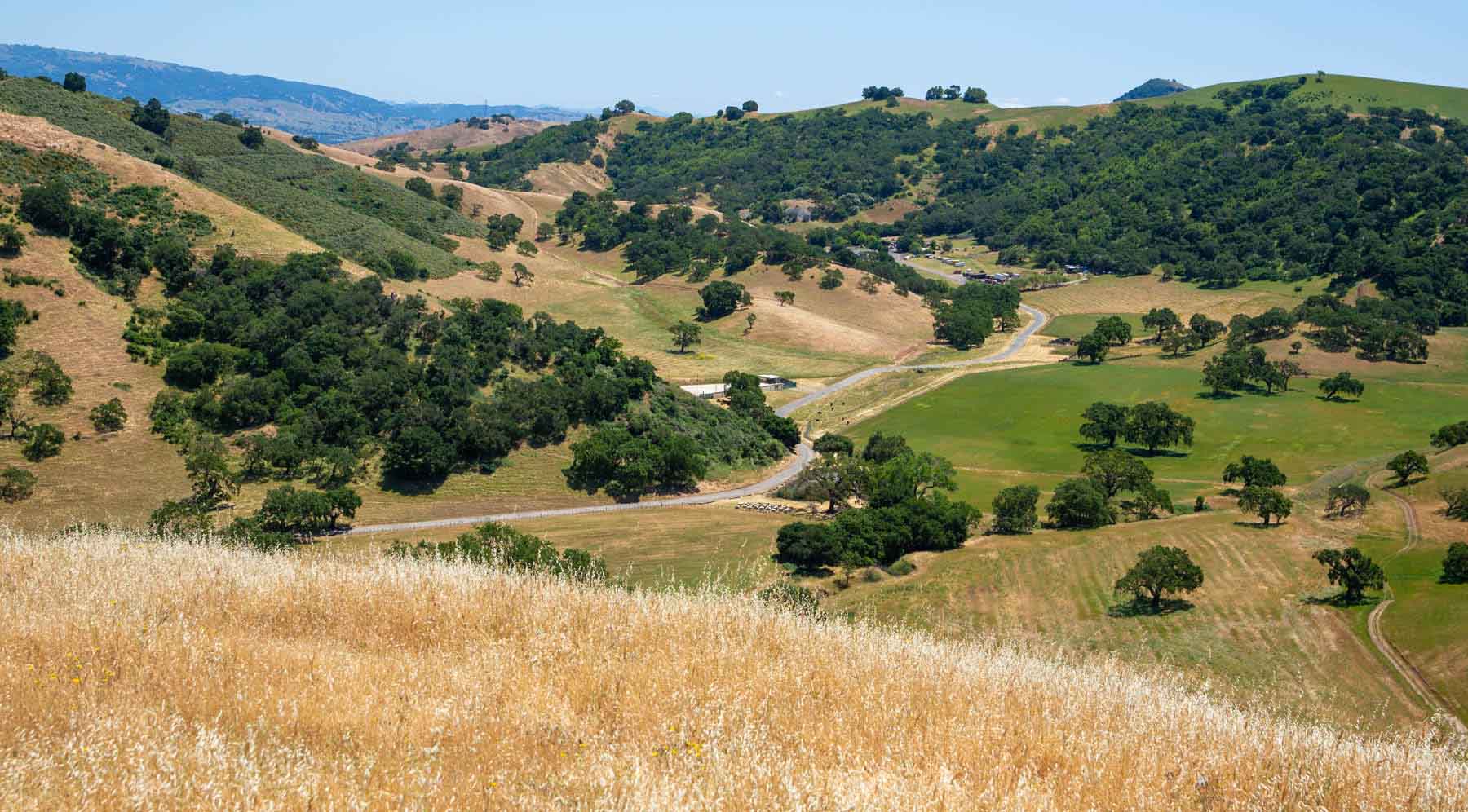 Rare undeveloped slice of Silicon Valley is on the market for $20 million