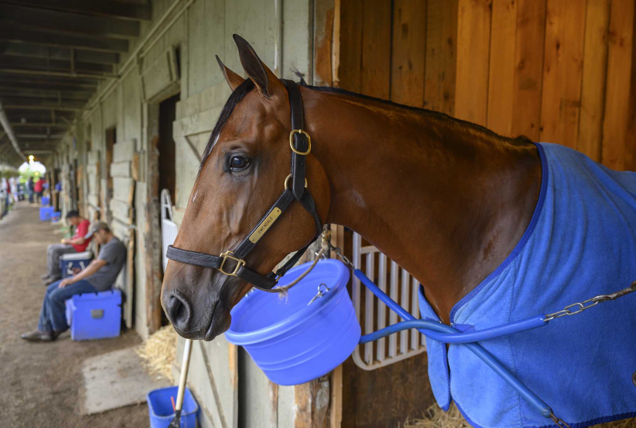 Owendale ready for Travers