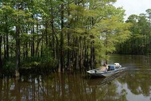 Photos: See highlights from Saturday Neches River tours