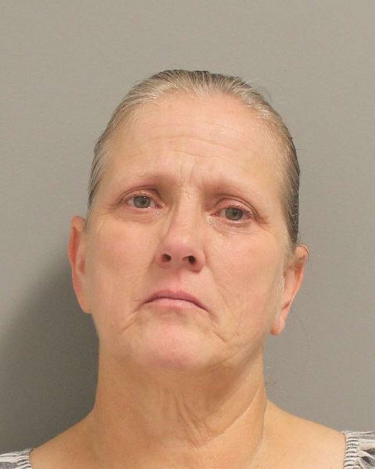 Jeanna Hooker, 56, of Pasadena, is facing two charges of practicing medicine without a veterinary license after police say she illegally performed medical procedures on two cats at the Deer Park Animal Control and Shelter. Hooker, an employee at the shelter for over 10 years, has since been fired by the city.