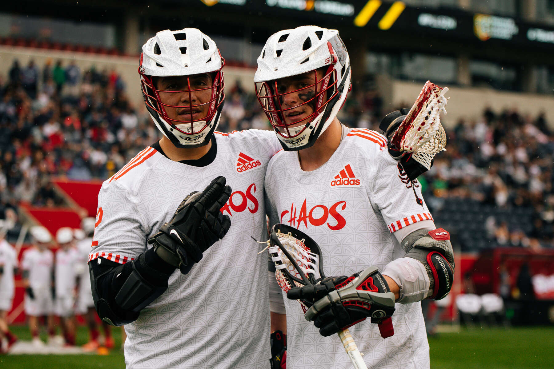 Great Danes alumni back in Albany with Premier Lacrosse League