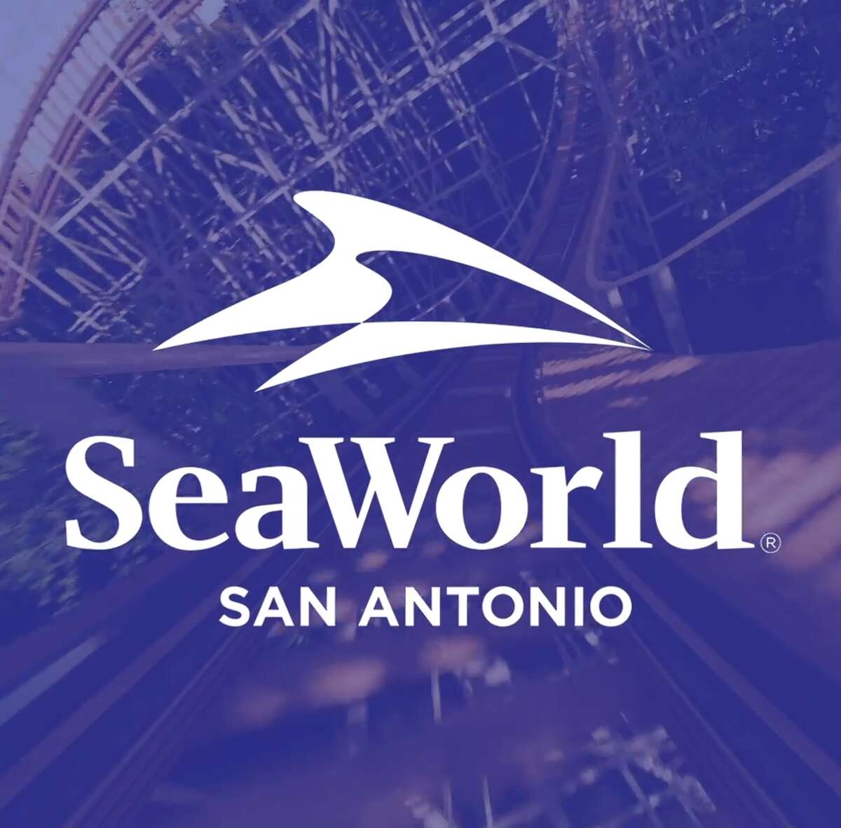 In an effort to help with the coronavirus pandemic, SeaWorld San Antonio donated hundreds of face masks to the University Health System.