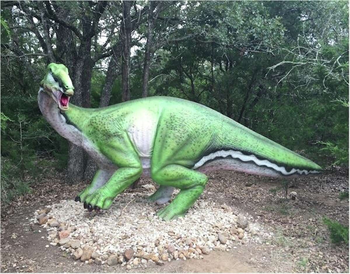 Take a tour of Dinosaur Park Texas and take your picture with a life