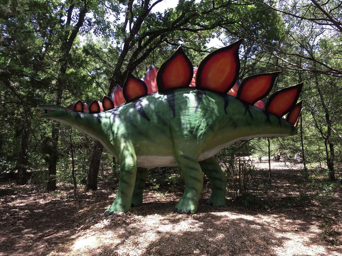 Take a tour of Dinosaur Park Texas and take your picture with a life