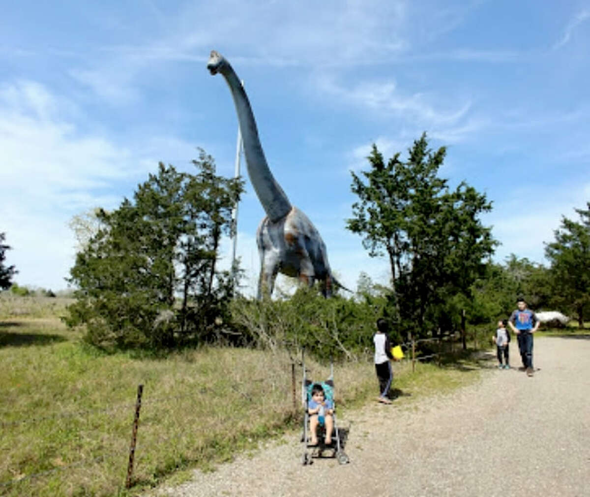 Take A Tour Of Dinosaur Park Texas And Take Your Picture With A Life Take A Tour Of Dinosaur Park Texas And Take Your Picture With A Life