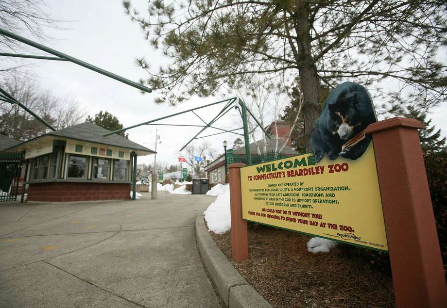 Beardsley Zoo prepares for delayed opening after safety drill The Hour