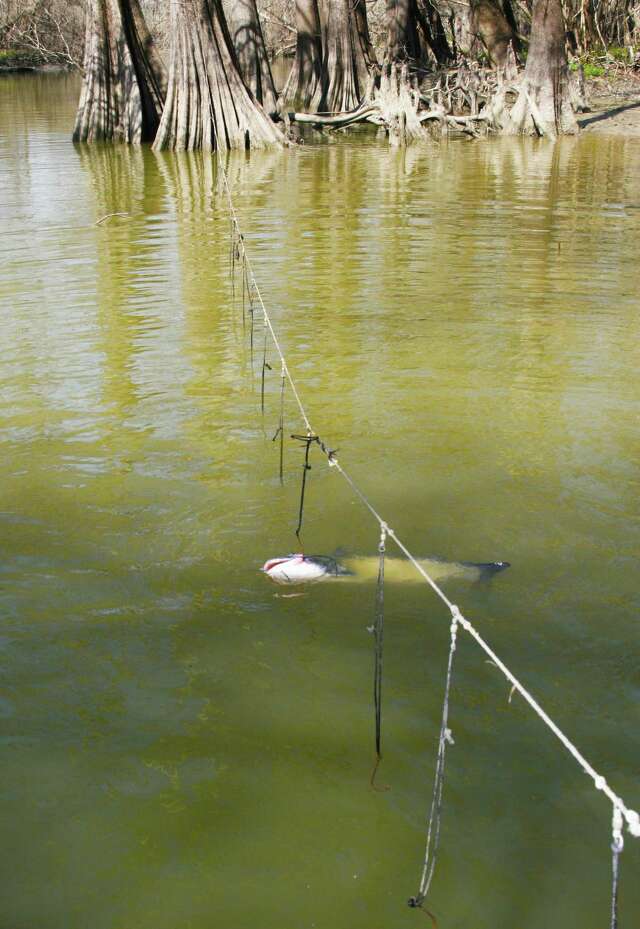passive fishing gear