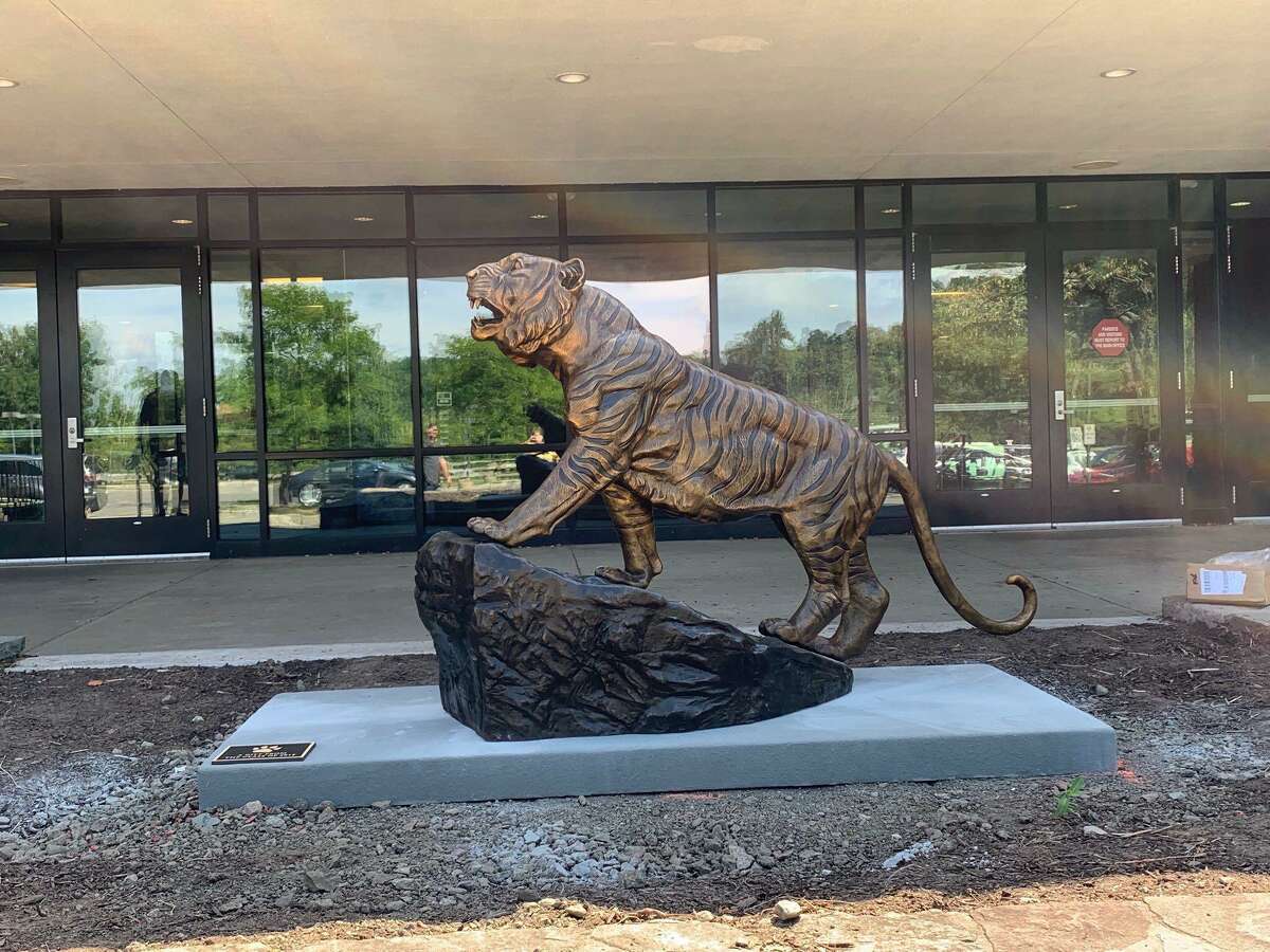 A four-legged statue was installed in front of Ridgefield High School, home of the Tigers, on Thursday, Aug. 22. The high school posted photos of the installation on its Twitter account.