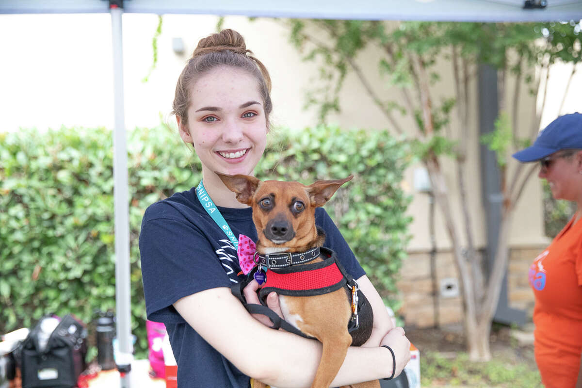 S.A. residents were able to come out to SNIPSA's adoption event at Snooze on Saturday, August 24, 2019.
