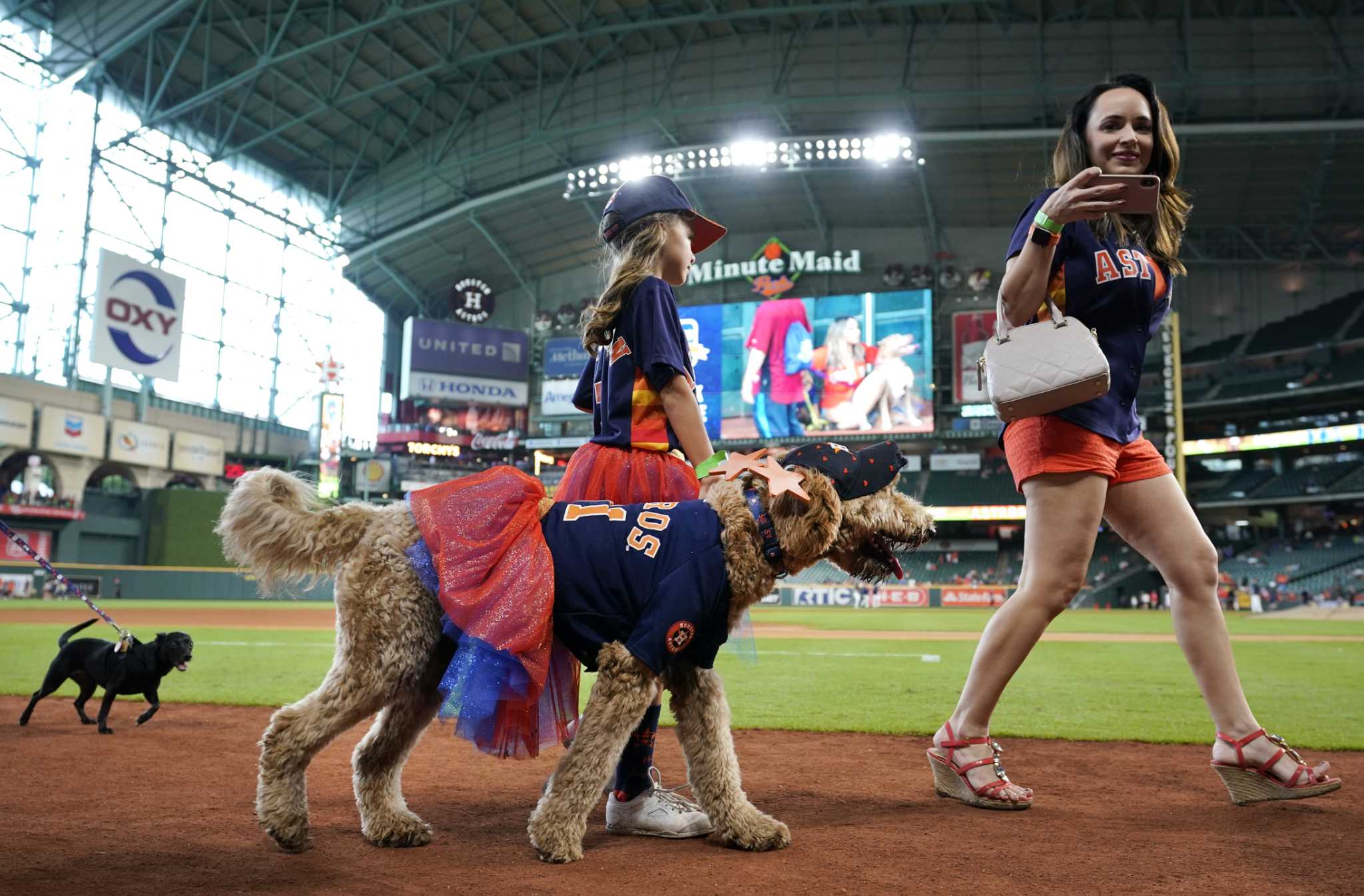 Minute Maid Park goes to the dogs for Astros' game - ABC13 Houston