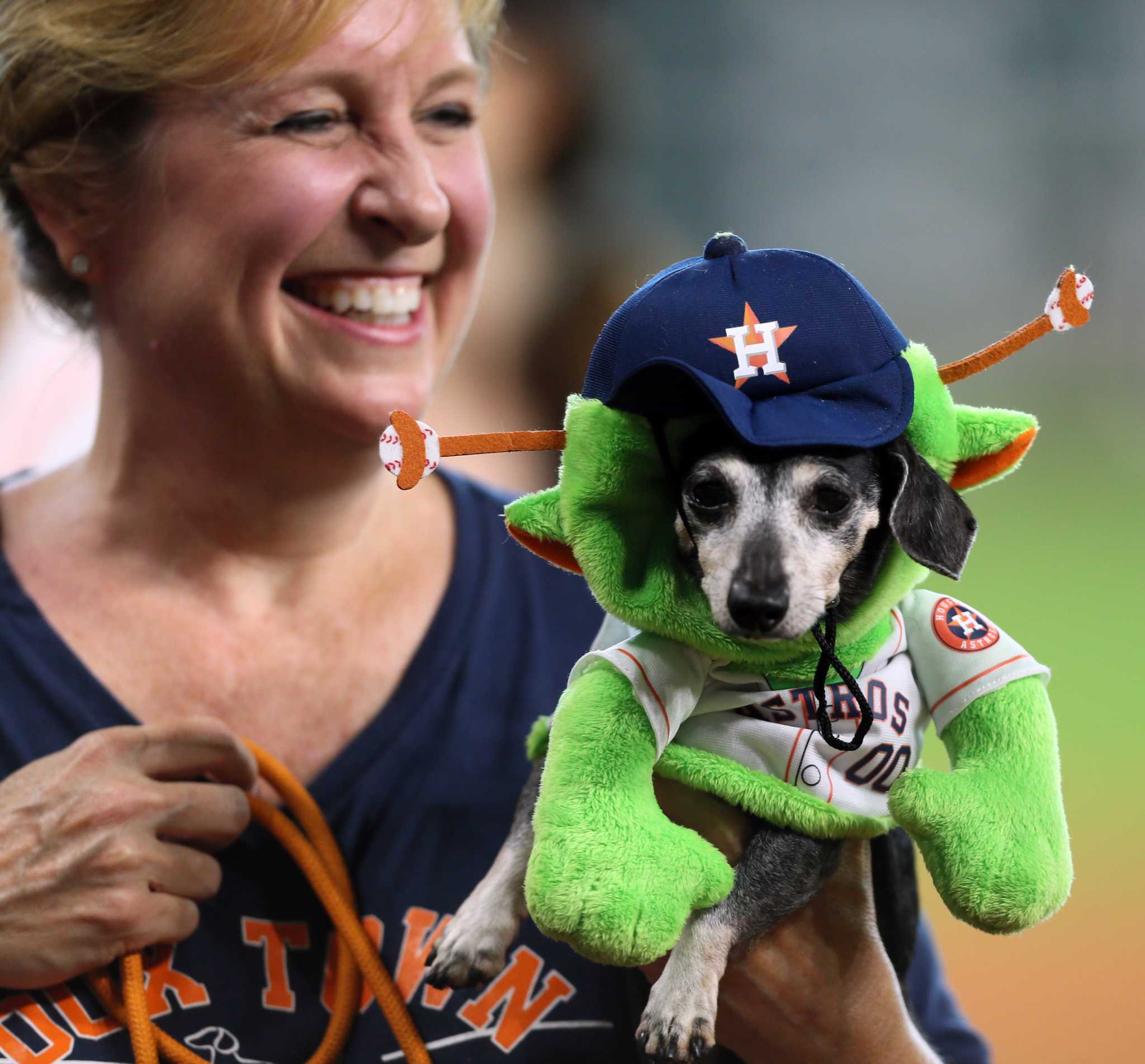 Astro's Dog Day at Minute Maid Park