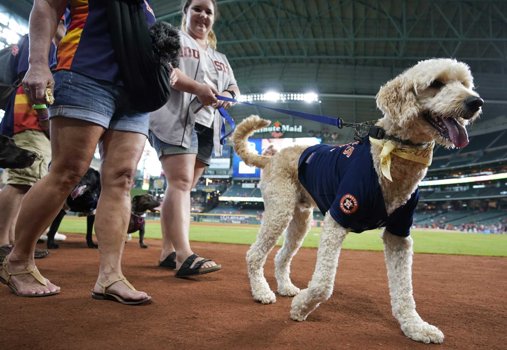 Dogs wait to enter the ball park for Astros Dog Day at Minute Maid