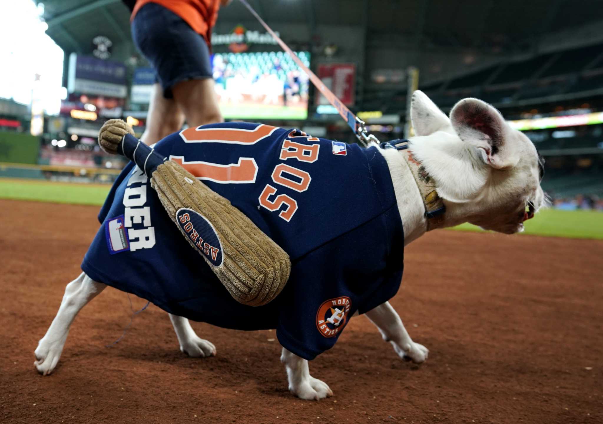 Houston Astros - It was dog day today at Fitteam Ballpark