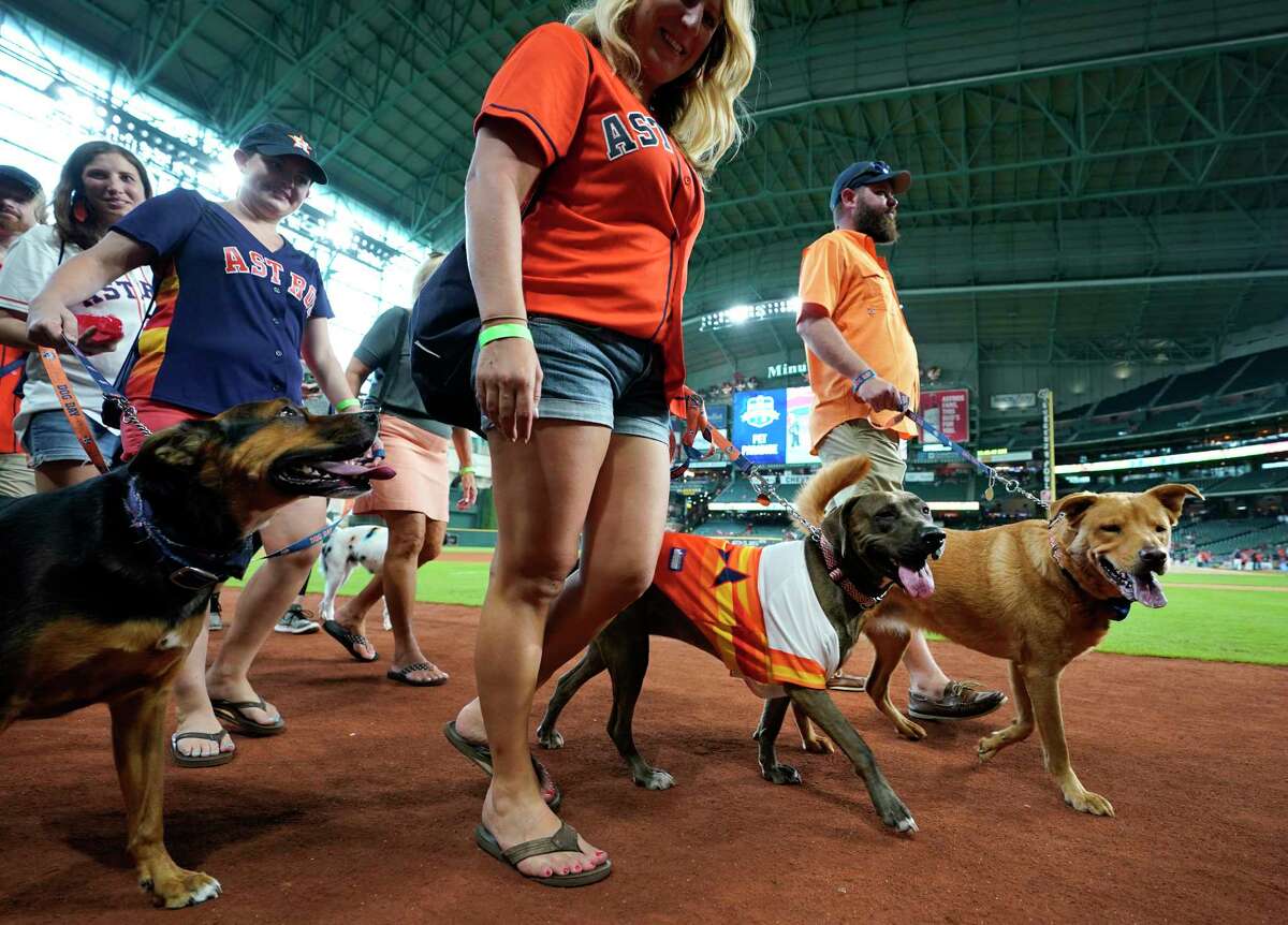 Check out the pups at Minute Maid Park for Astros' Dog Day