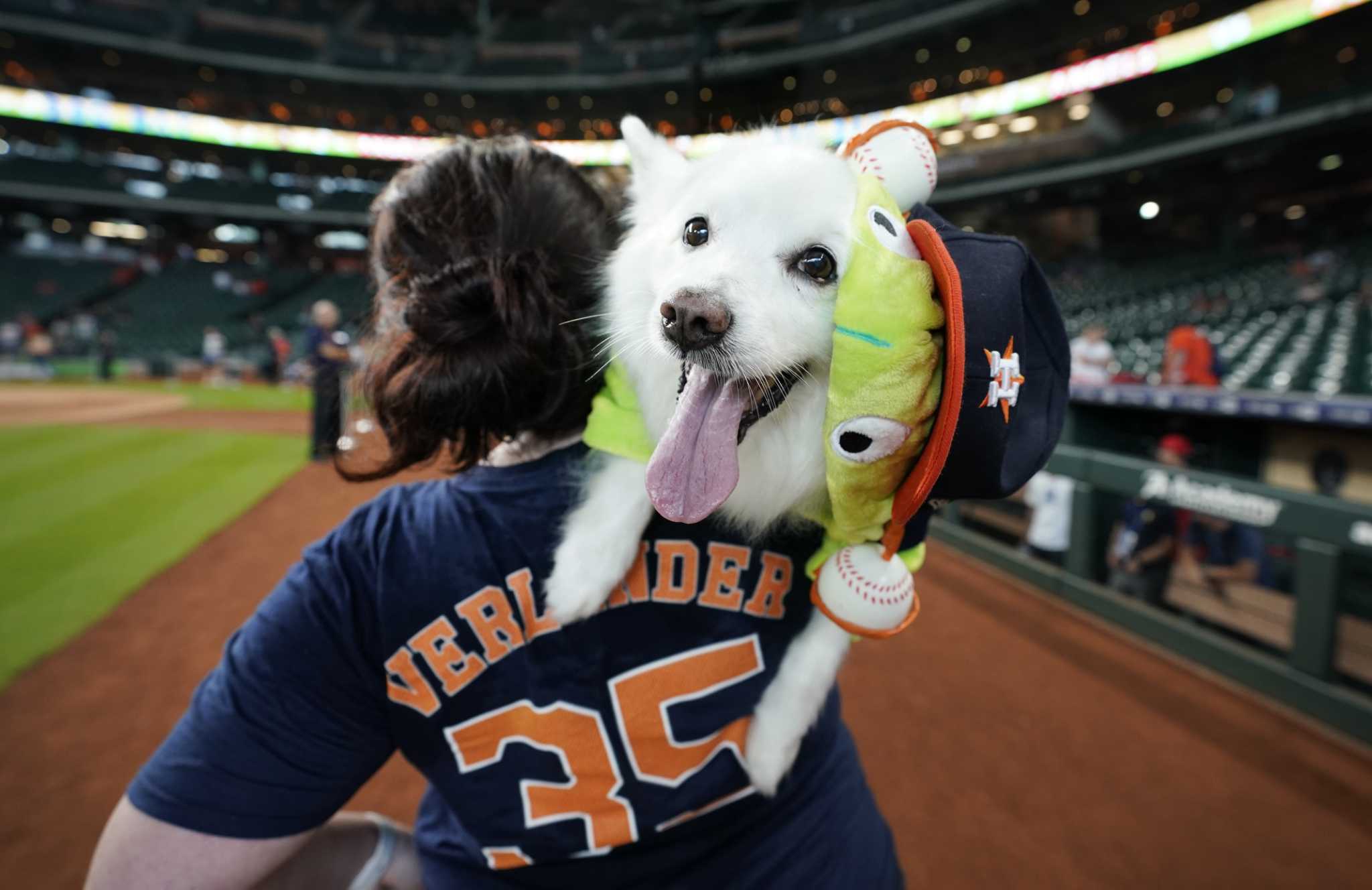 Houston Astros on X: The Dog Day content you've always dreamed of 🐶😍   / X