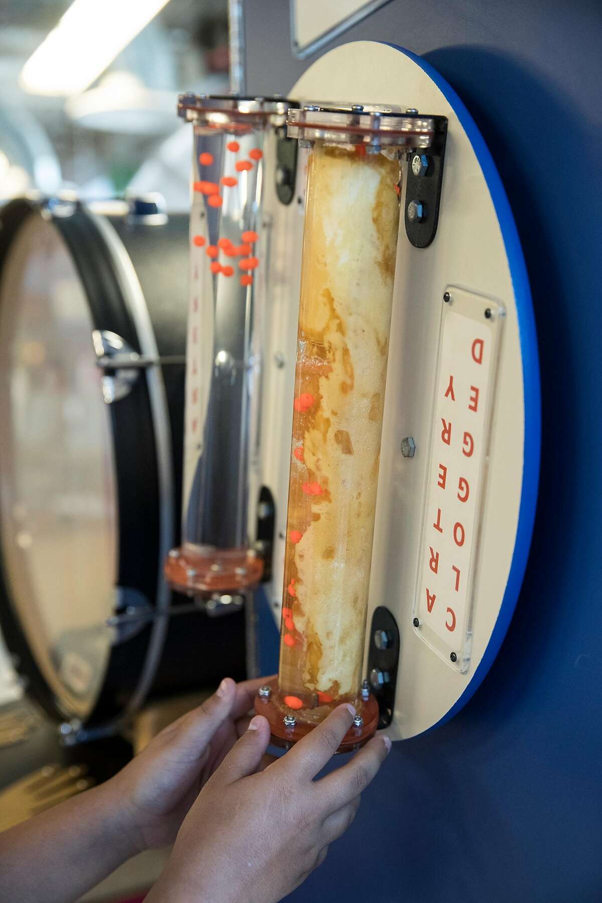 Sponsored Content A science museum, lake, zoo offer family fun in Lodi