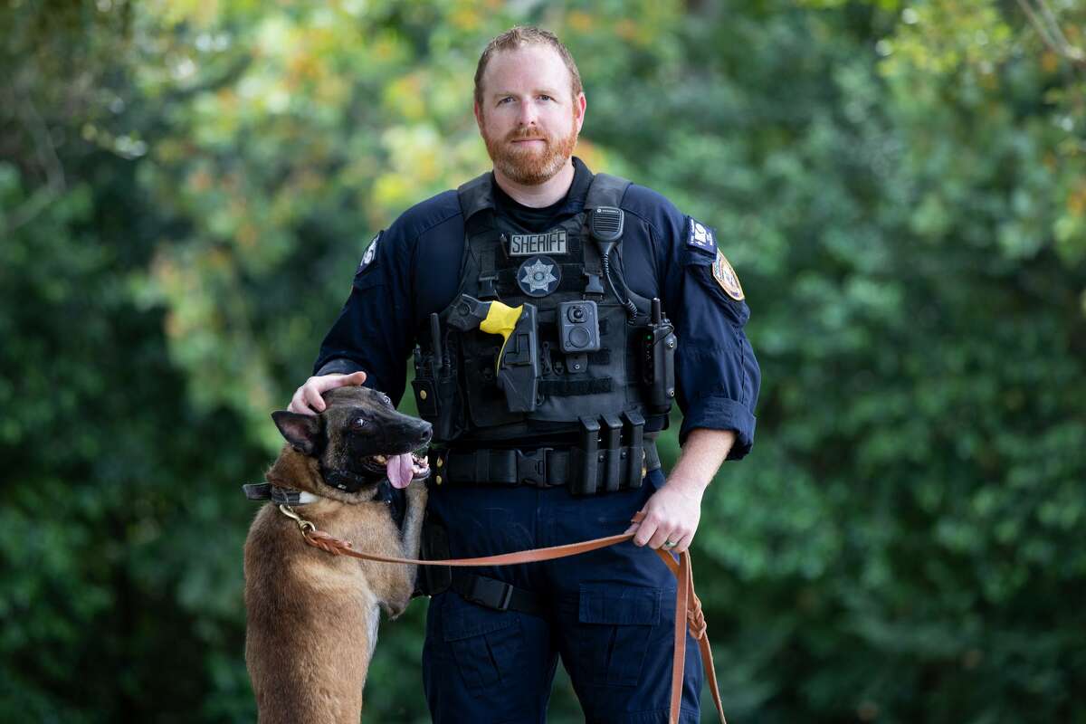 Meet the police dogs who keep Harris County safe