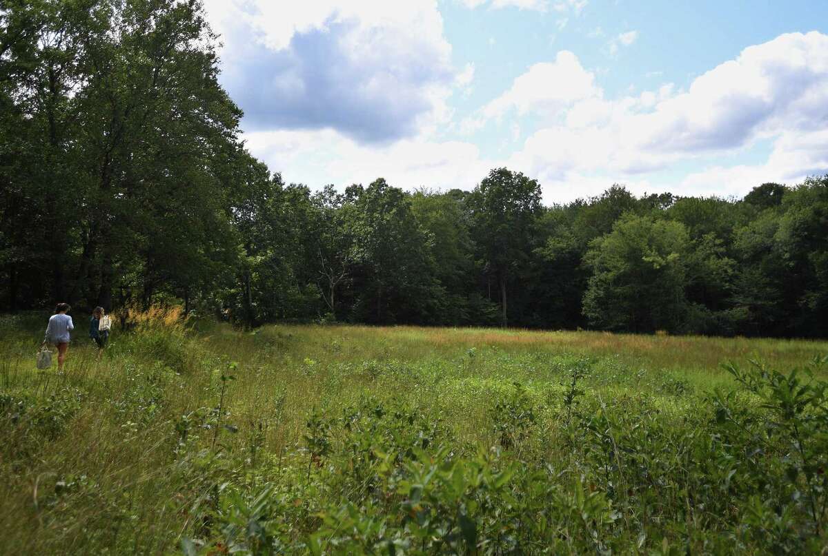 The Art in the Park annual Festival at the Weir Farm Nartional Historical Park on the Wilton, and Ridgefield border, is pictured during a previous year. The park is accepting submissions for its 2021 virtual "Art in the Park" contest, by Wednesday, Sept. 1.