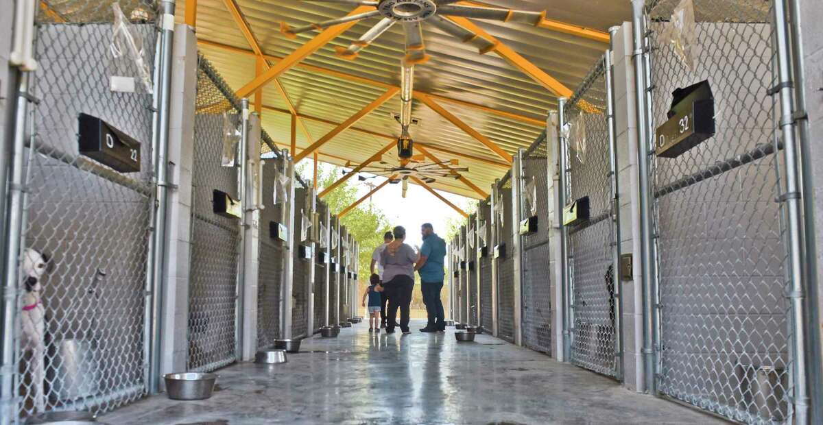 Drivethru pet vaccination clinic to help protect animals’ health in