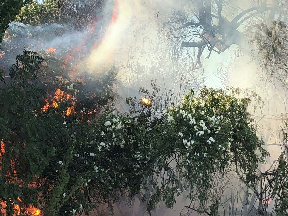 A vegetation fire has spread to at least two structures in Byron, officials said.