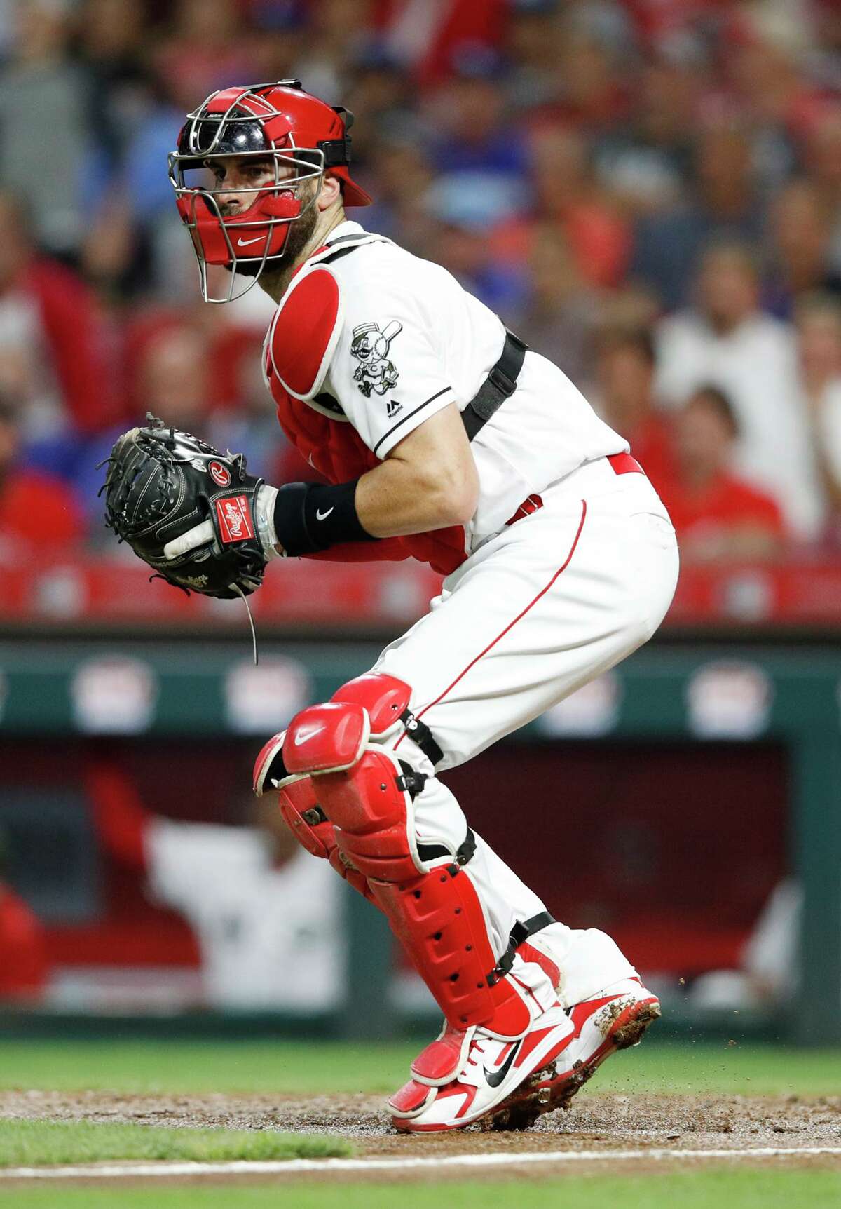 Curt Casali works behind the plate during the game against the Los Angeles Dodgers at Great American Ball Park on September 11, 2018.