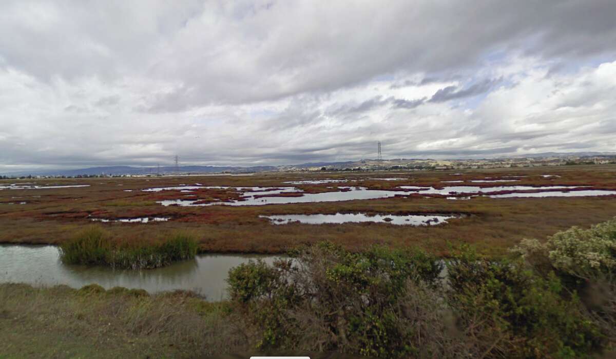 "Long Beach" of the San Leandro Shoreline Marshlands is at risk of disappearing due to rising sea levels and development.