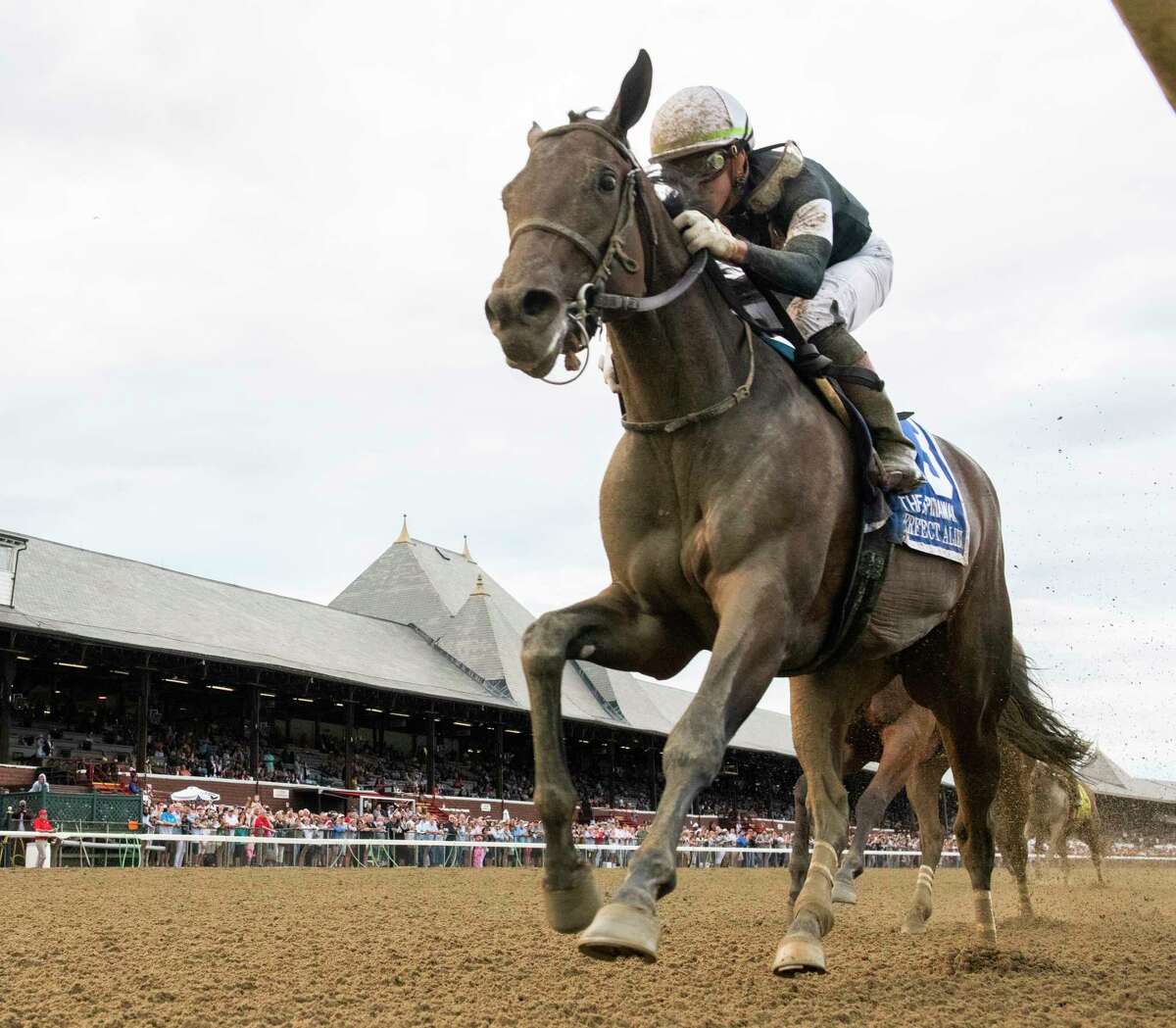 Record handle; milestone crowds as Saratoga race season winds down