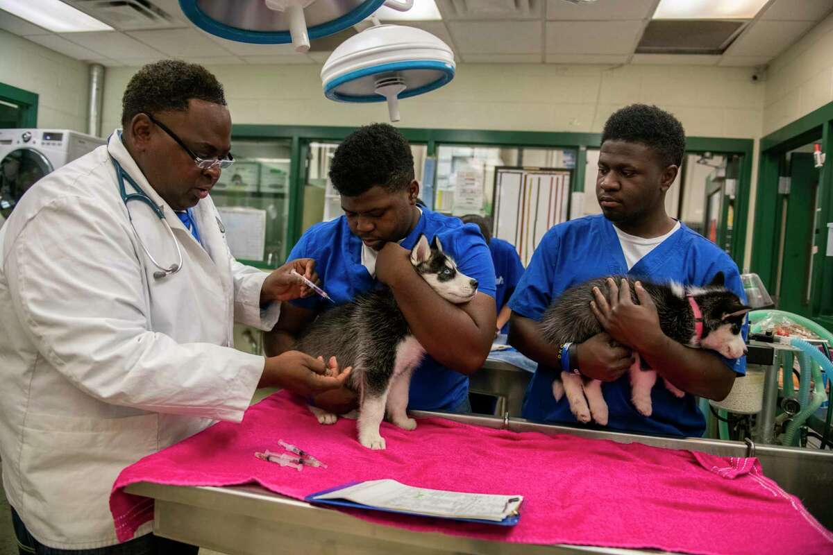 Former San Antonio mayor’s plans for protecting animals could be ‘game