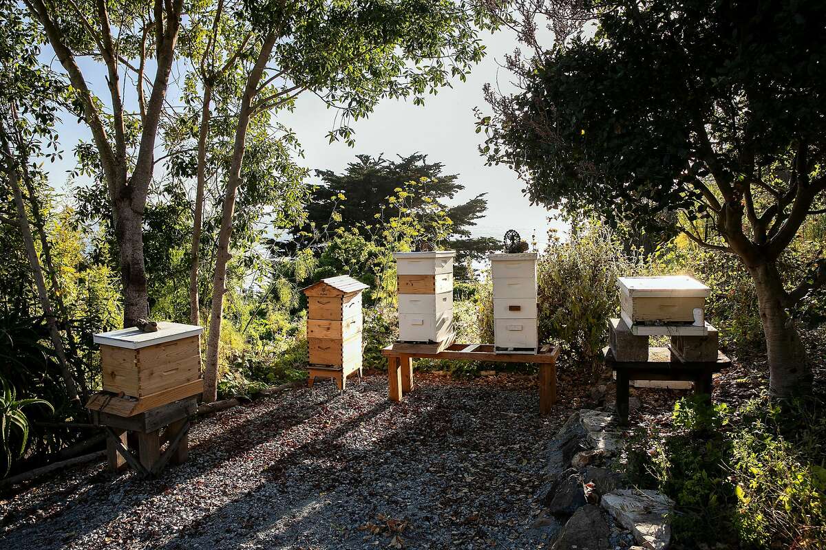 Honey Bee hives are located on the farm at Esalen on Friday, August 30, 2019 in Big Sur, Calif.