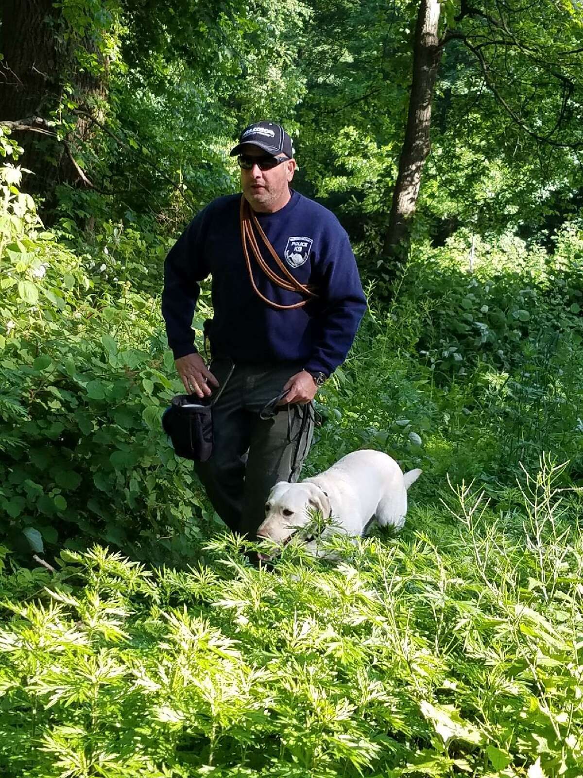 State Police with dogs trained to sniff out electronic equipment search Waveny Park in New Canaan for a cell phone as part of the investigation into the disappearance of Jennifer Dulos on Monday, June 3.
