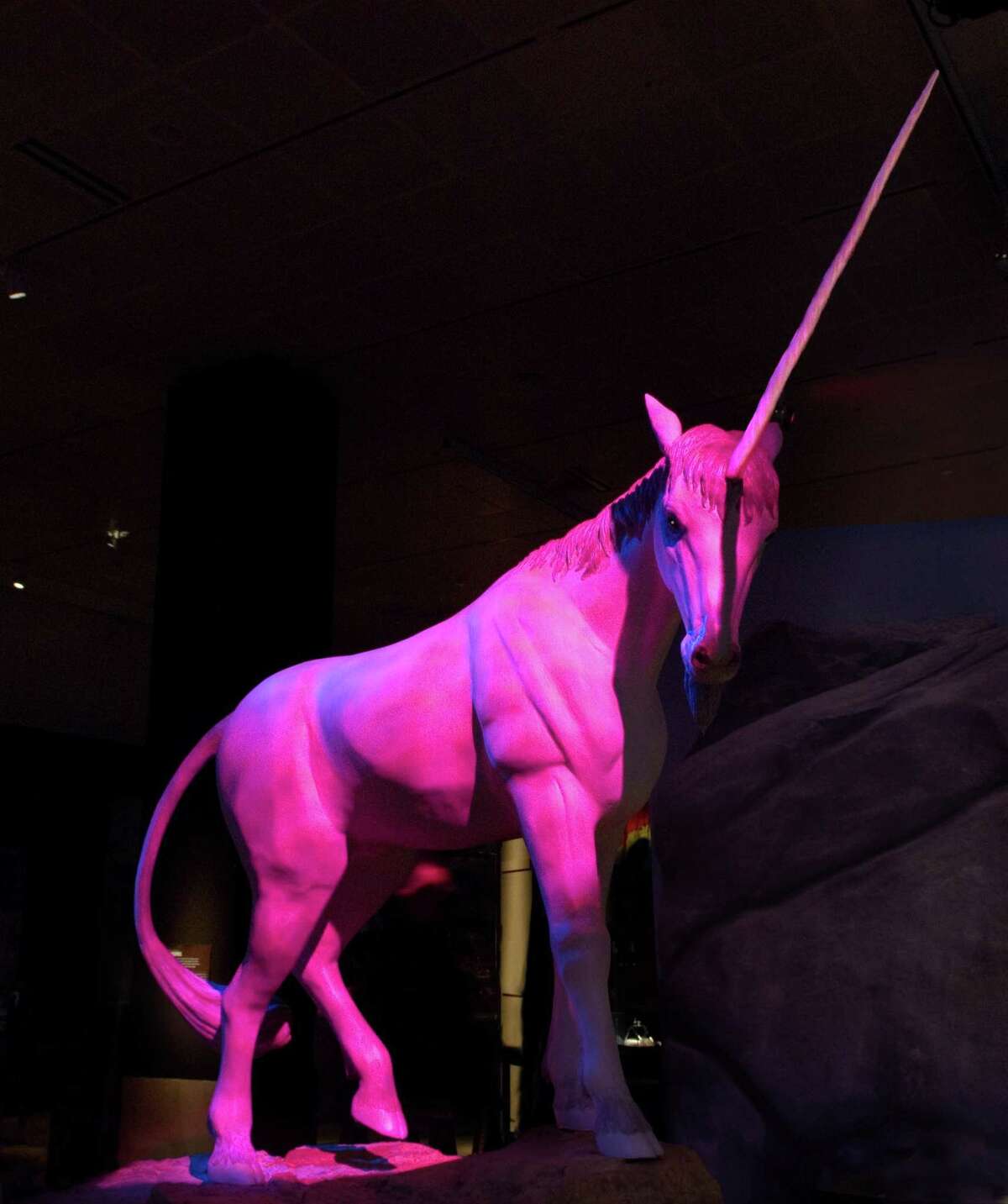 Unicorns are among the magical critters explored in "Mythic Creatures: Dragons, Unicorns and Mermaids," one of the big fall shows at the Witte Museum.