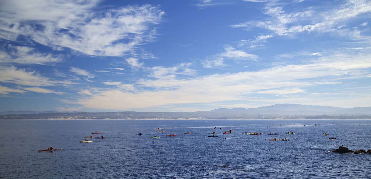 Monterey kayaking