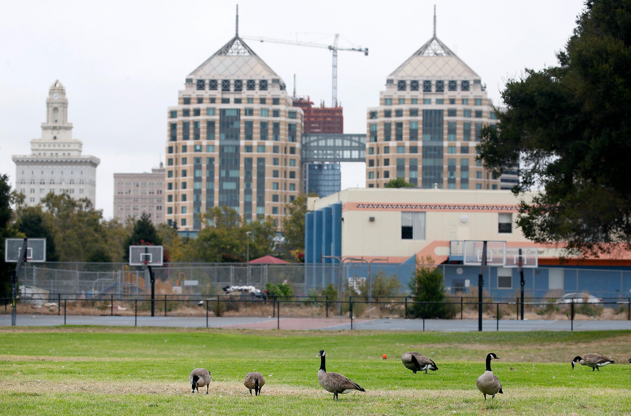 Bounce house bounces out of Oakland — too much goose poop